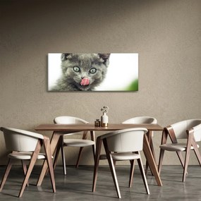 Nyaló cica képe (120x50 cm)