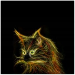 Poszterek 100x100 A földöntúli macska