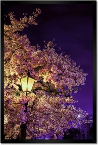 Poszterek keretben 40x60 Éjszakai motívum a nappaliba