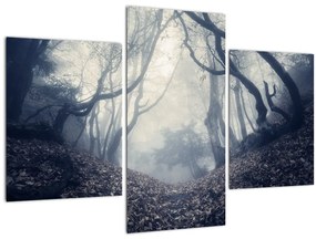 Kép - Erdő a ködben (90x60 cm)