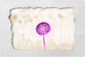 Poszterek 60x40 Lila pitypang