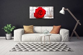 Vászonkép falra Rózsa Virág növény természet 140x70 cm