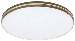 Rabalux Rabalux 71177 - LED Mennyezeti lámpa OSCAR LED/18W/230V 3000K átm. 34 cm RL71177