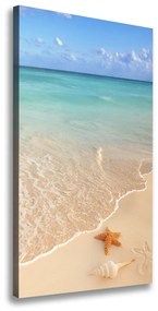 Feszített vászonkép Starfish a strandon ocv-23665929