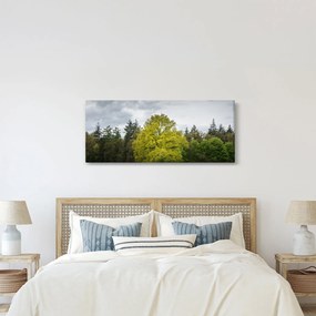 Egy zöld fa képe a mező közepén (120x50 cm)
