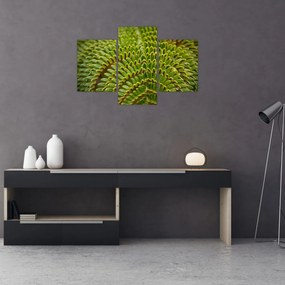 Kép - Fern (90x60 cm)