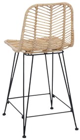Bárszék 2 pcs Természetes 44,5 x 54,5 x 97,5 cm Rattan és Vas