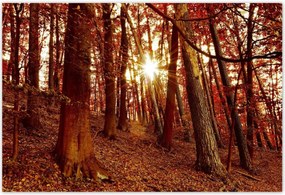 Poszterek 200x135 Tájkép Látvány