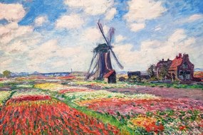 Reprodukció Tulip Fields with the Rijnsburg Windmill, 1886, Claude Monet