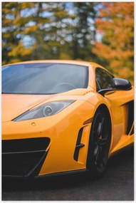 Poszterek 80x120 Sportautó Autó