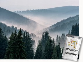 Fotótapéta Flizelina Tájkép Hegyek Erdő Fák Köd 200x140 ragasztó