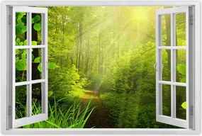 Poszterek 120x80 Varázslatos erdő Tájkép