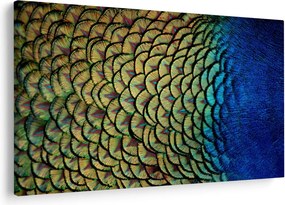Kép - Pávatollak (90x60 cm)