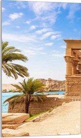 Üveg Vágódeszka 30x52 Pálmafák a Konyhába