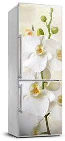 Hűtő matrica Orchidea FridgeStick-70x190-f-123330197
