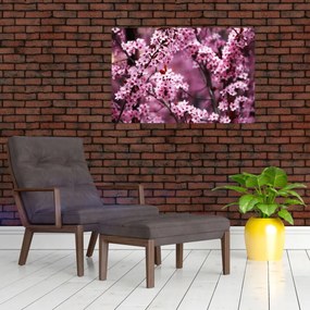 Kép - Rózsaszín sakura (90x60 cm)