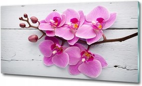 Fotó üvegkép Orchidea a fán 100x50