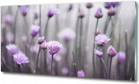 Fotótapéta üvegfalra Rózsaszín orchidea 125x50