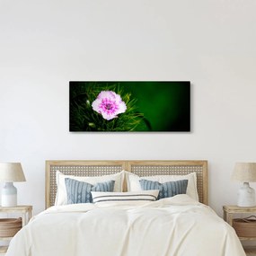 Rózsaszín virág képe (120x50 cm)