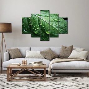 Kép - Részlet levél eső után (150x105 cm)