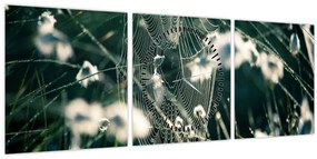 Kép - Pókháló (órával) (90x30 cm)