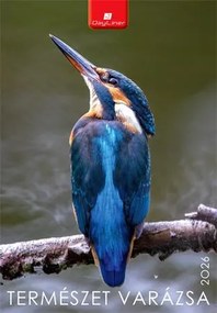 Naptár, fali, DAYLINER, Természet varázsa (NFATVB4U)