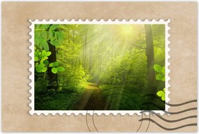 Poszterek 60x40 Varázslatos erdő Sugárzás