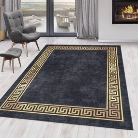Antracitszürke mosható szőnyeg 120x170 cm Fiesta – Ayyildiz Carpets