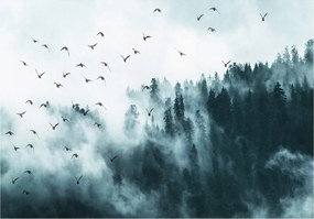 Fotótapéta Erdő ködös madarak tűlevelű természet vinil 208x146 +ragasztó