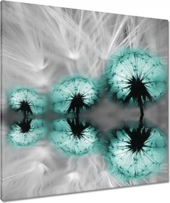Vászonkép 80x80 Türkiz pitypang virág