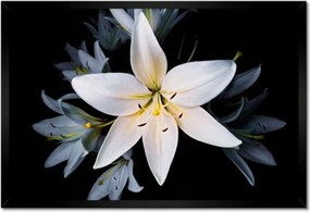 Poszter keretben 60x40 Fehér liliom csokor Virág