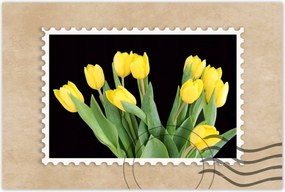 Poszterek 90x60 Sárga tulipánok