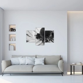 Kép - Virág fekete-fehérben (90x60 cm)