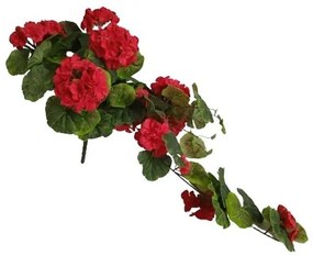 Műgyökér Muscat Red, 68 cm