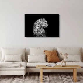Kép - Leopárd (90x60 cm)