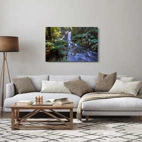 Ausztrál esőerdő képe (90x60 cm)