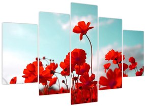 Fényes piros virágokkal rendelkező mező képe (150x105 cm)
