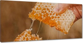 Vászonkép 180x90 Méz Méhészet