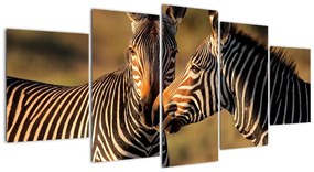 Kép - zebra (150x70cm)