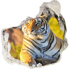3d-s lyuk vizuális effektusok matrica Portré egy tigris nd-p-65114965