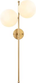 Fazli - 10410