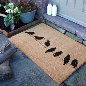 Kókuszrost lábtörlő 40x60 cm Birds On a Wire – Artsy Doormats