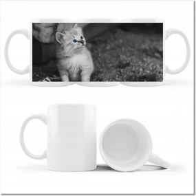 Nyomott mintás bögre Szimpatikus cica macskák