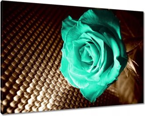 Vászonkép 100x70 Türkiz rózsa szépia