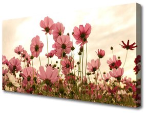 Vászonkép Virág Vadvirágok Mező Természet 120x60 cm