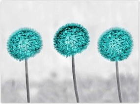 Poszterek 135x100 Türkiz pitypang virág