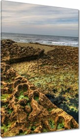 Vászonkép 80x120 Hegyi strand