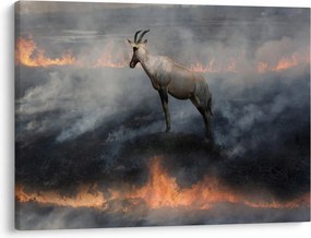 Zerge a tűzben képe (70x50 cm)
