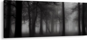 Kép - erdő a ködben (120x50 cm)