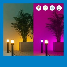 WiZ - LED RGBW dimmelhető kültéri lámpa ELPAS LED/4,8W/12/230V IP65 Wi-Fi